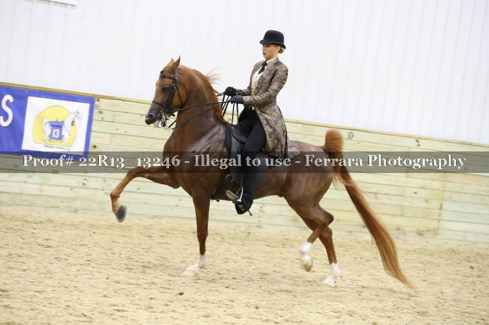 Proof 22R13_13246