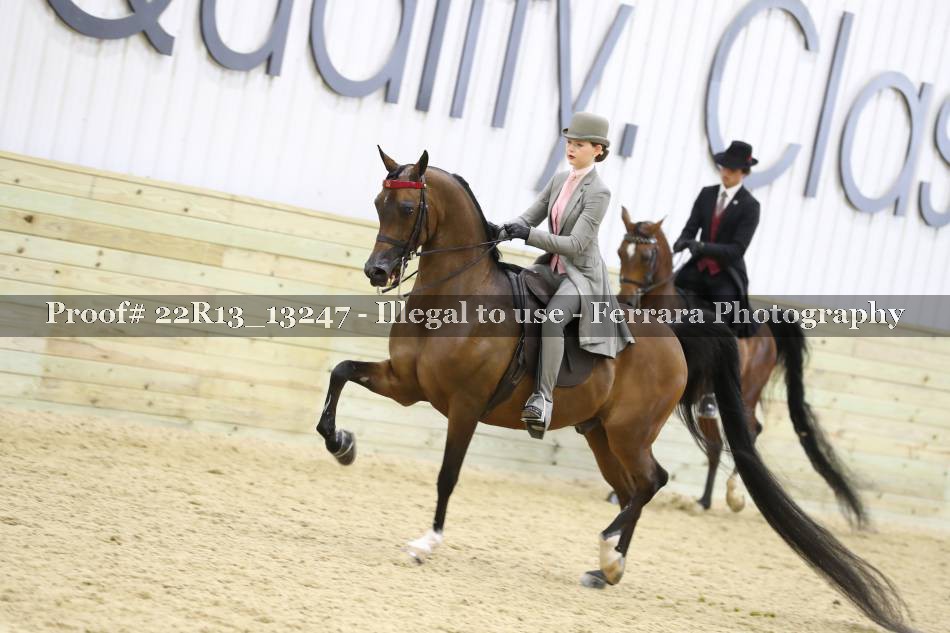 Proof 22R13_13247