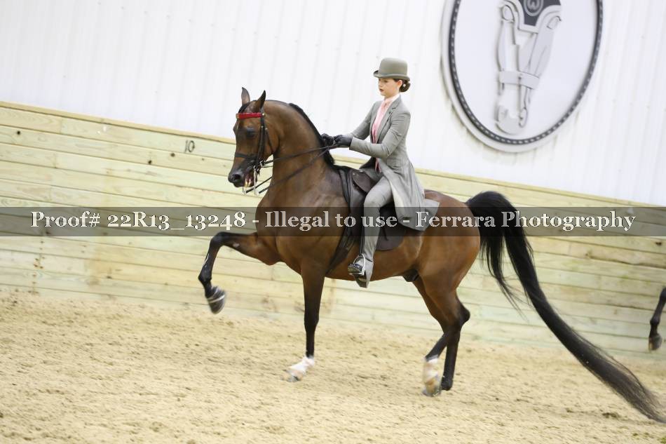 Proof 22R13_13248