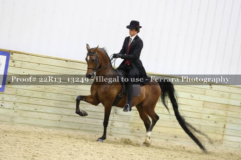 Proof 22R13_13249