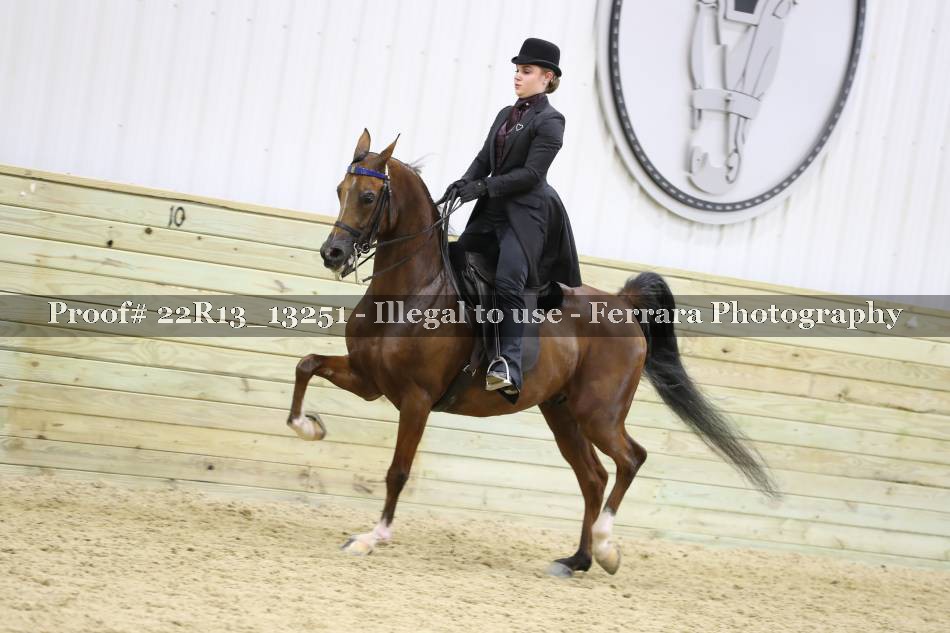 Proof 22R13_13251