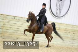 22R13_13251 proof