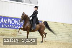 22R13_13252 proof