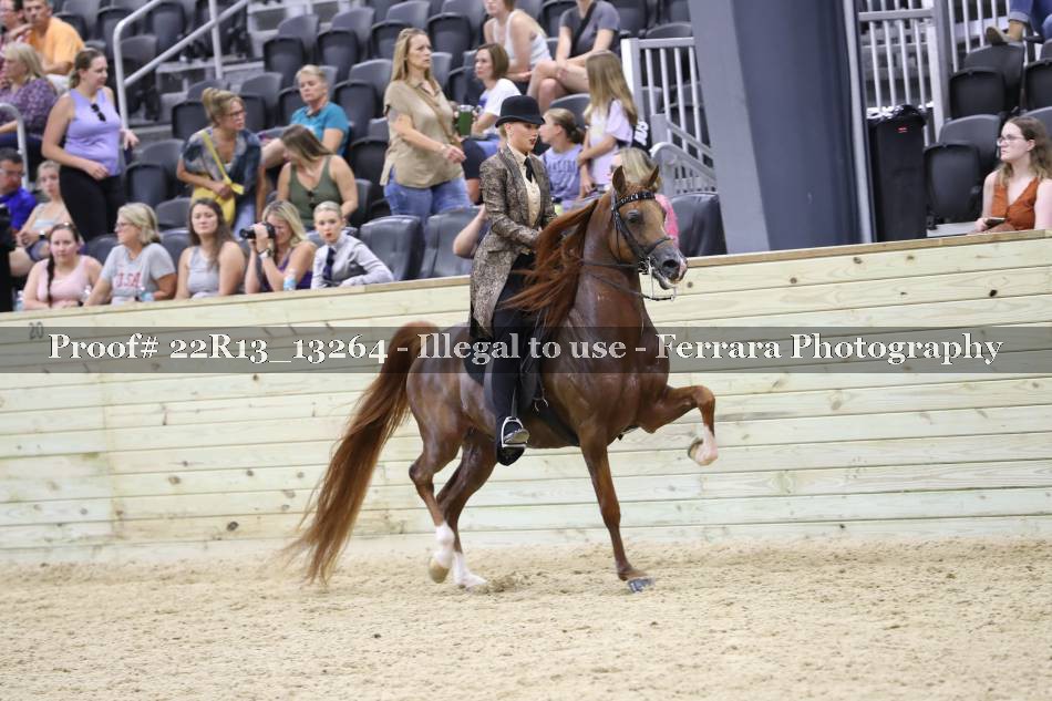 Proof 22R13_13264