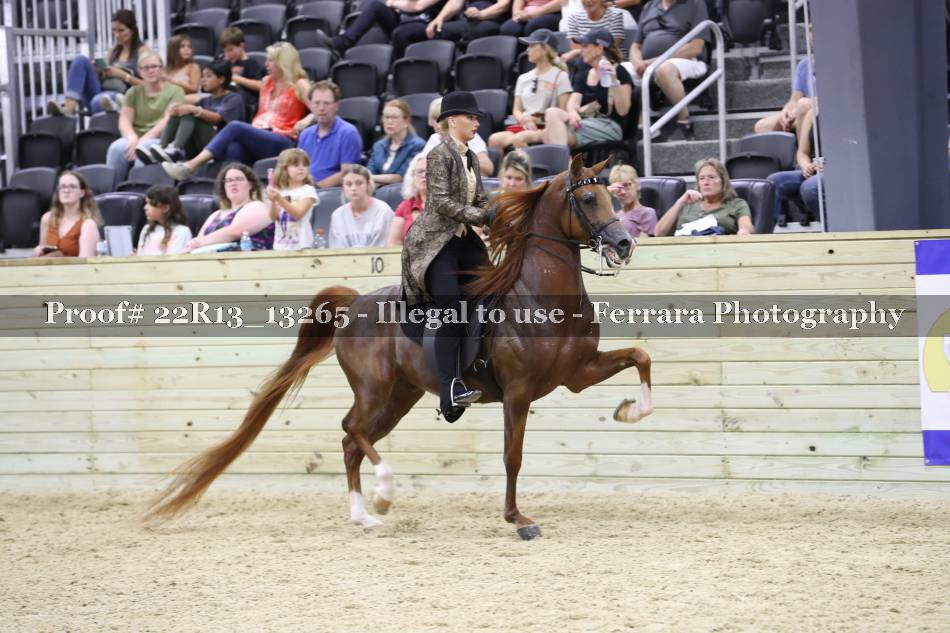 Proof 22R13_13265