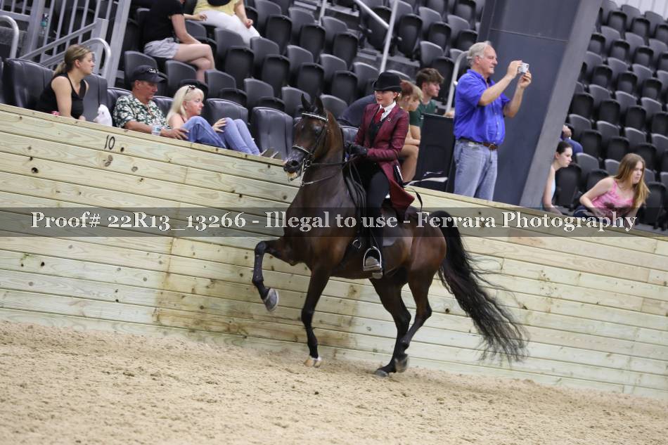Proof 22R13_13266