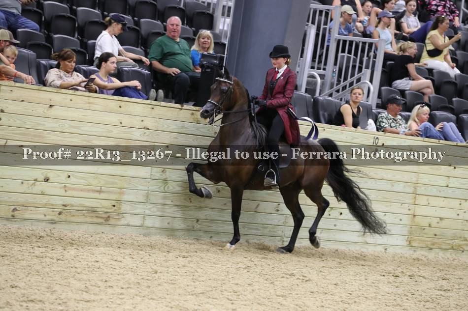 Proof 22R13_13267