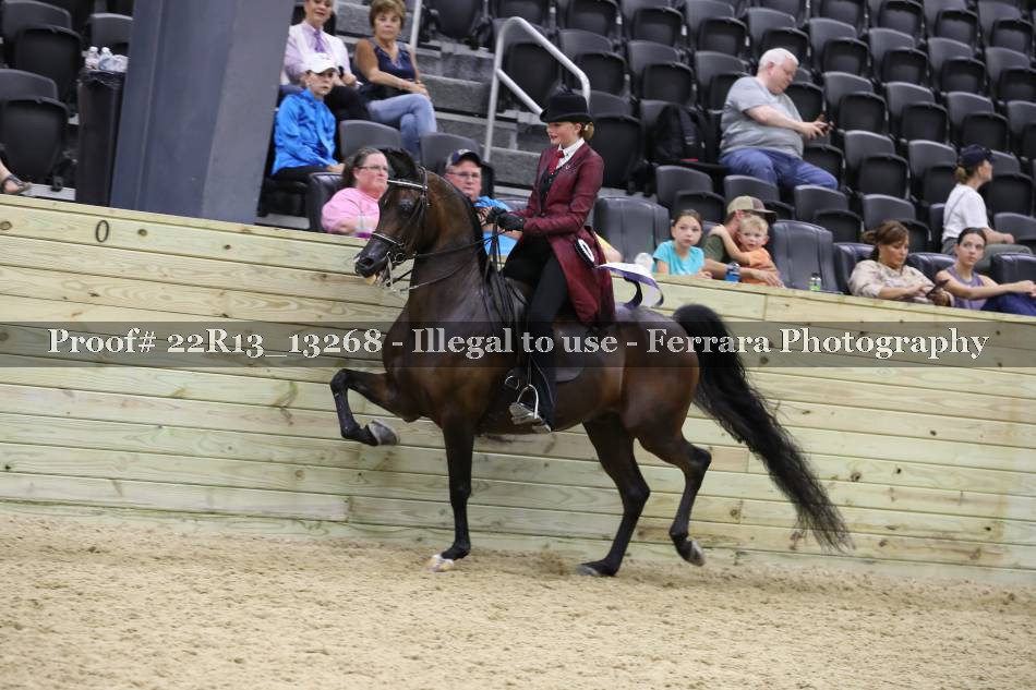 Proof 22R13_13268