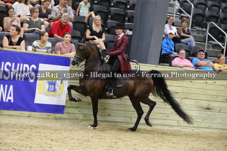 Proof 22R13_13269