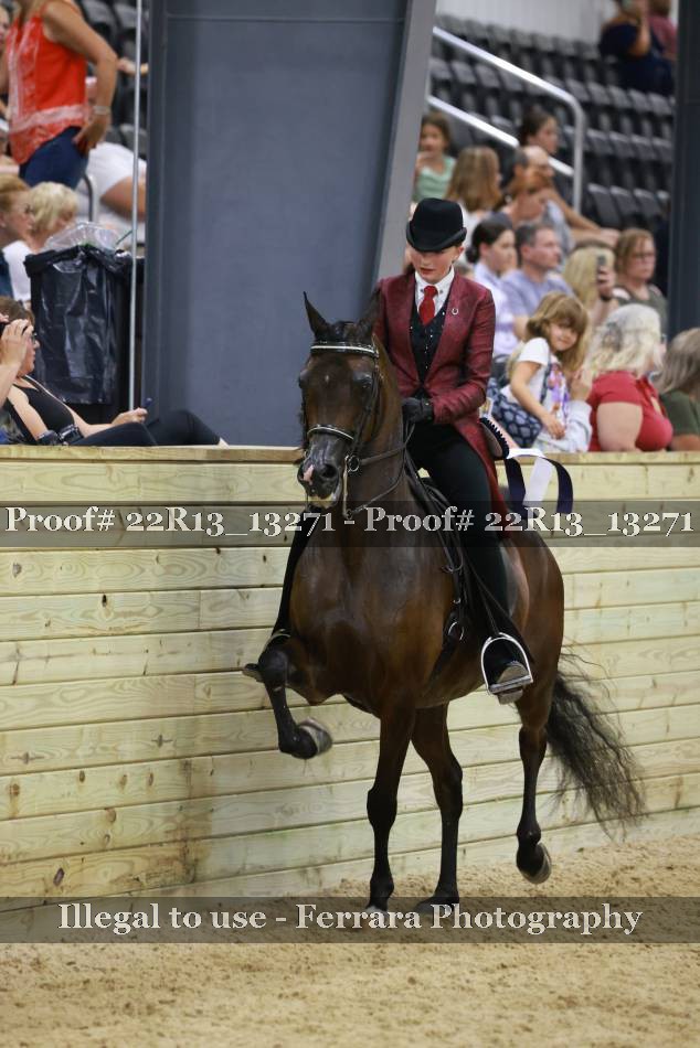 Proof 22R13_13271
