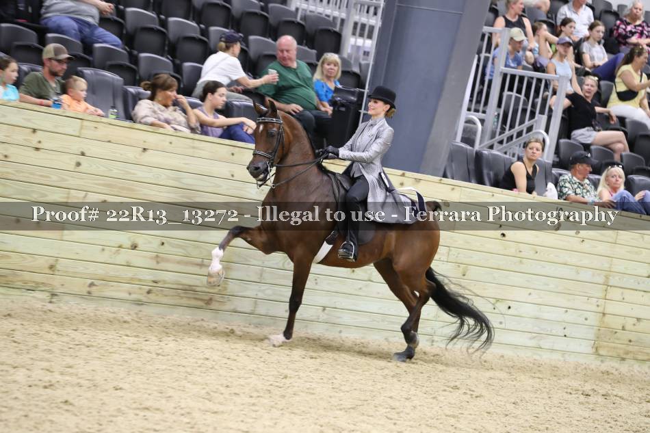 Proof 22R13_13272