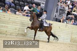 22R13_13272 proof