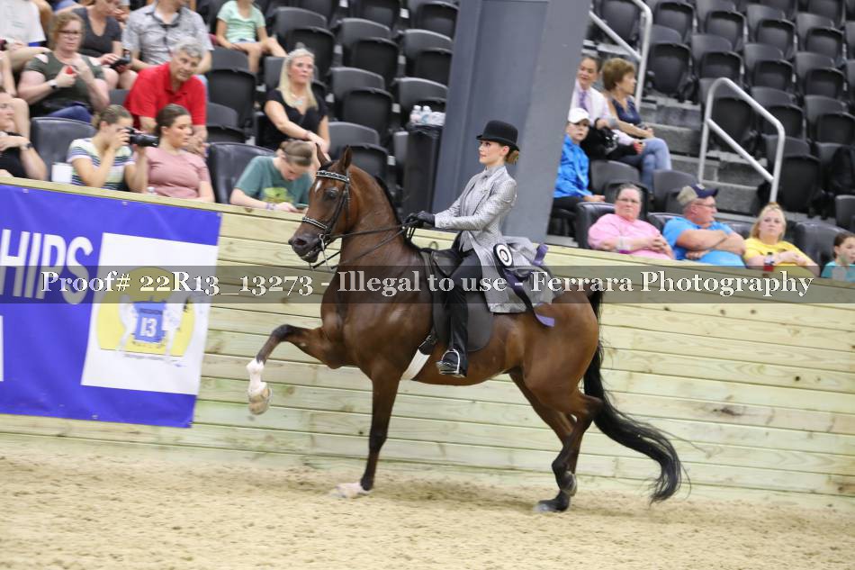 Proof 22R13_13273