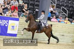 22R13_13273 proof