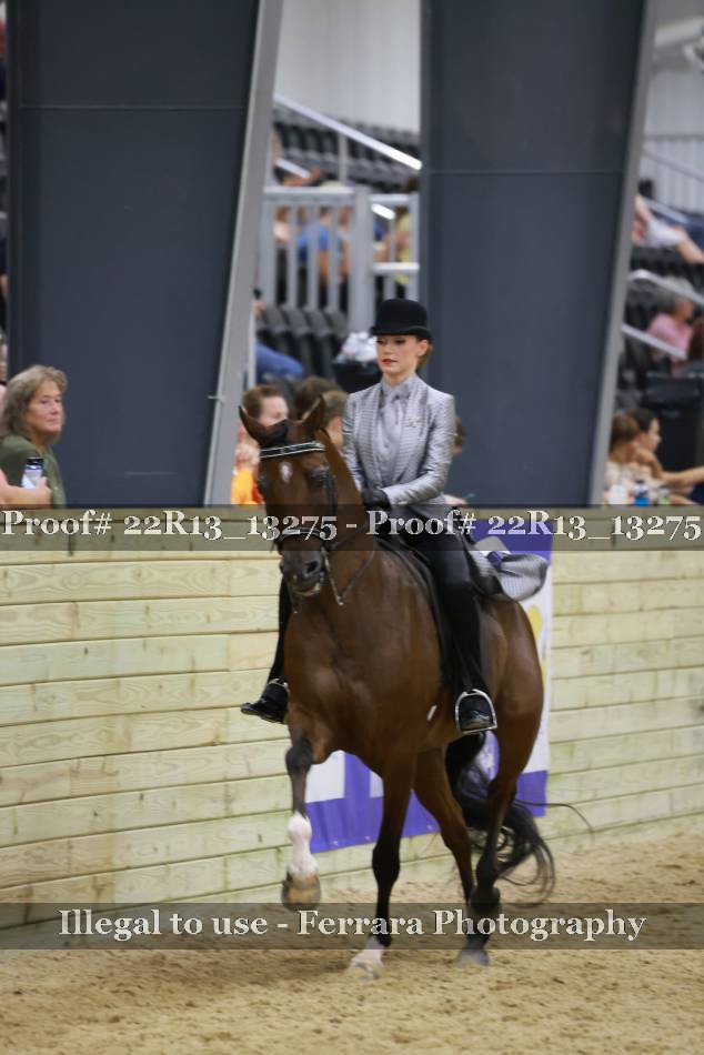 Proof 22R13_13275