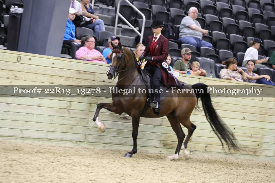 Proof 22R13_13278