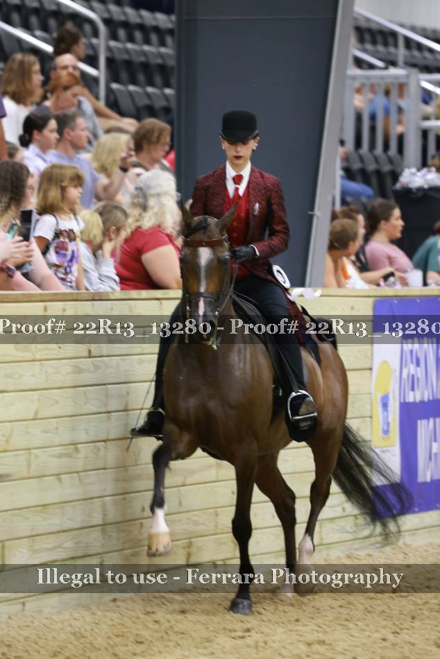 Proof 22R13_13280