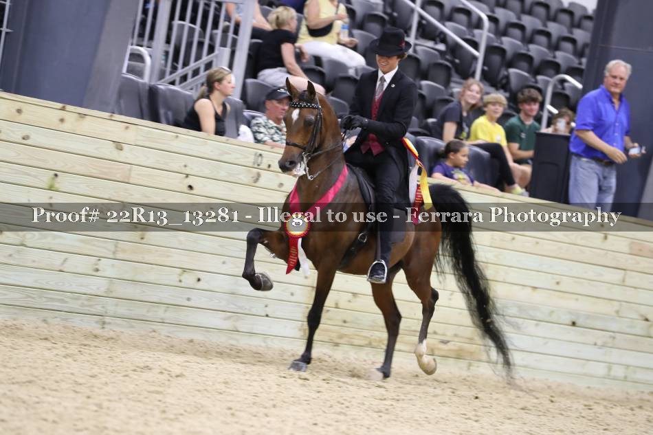 Proof 22R13_13281