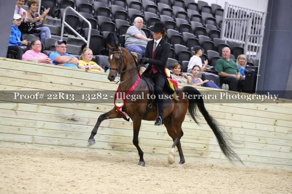 Proof 22R13_13282