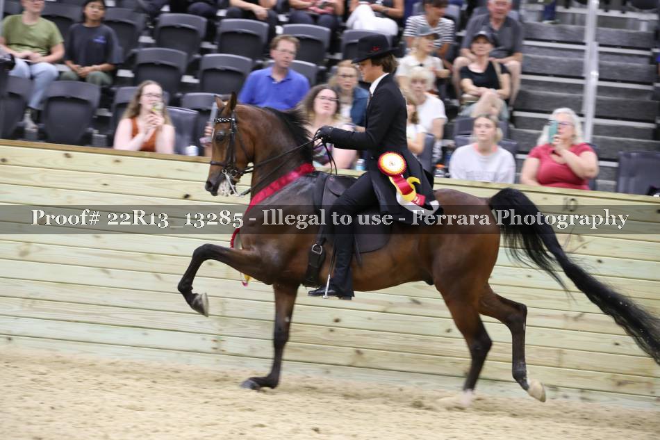 Proof 22R13_13285