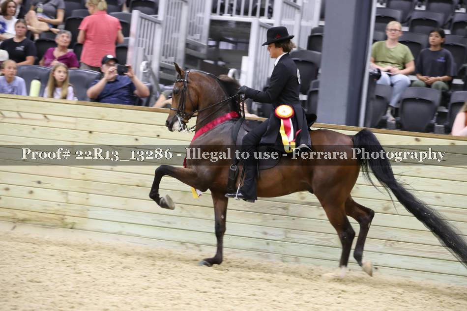 Proof 22R13_13286