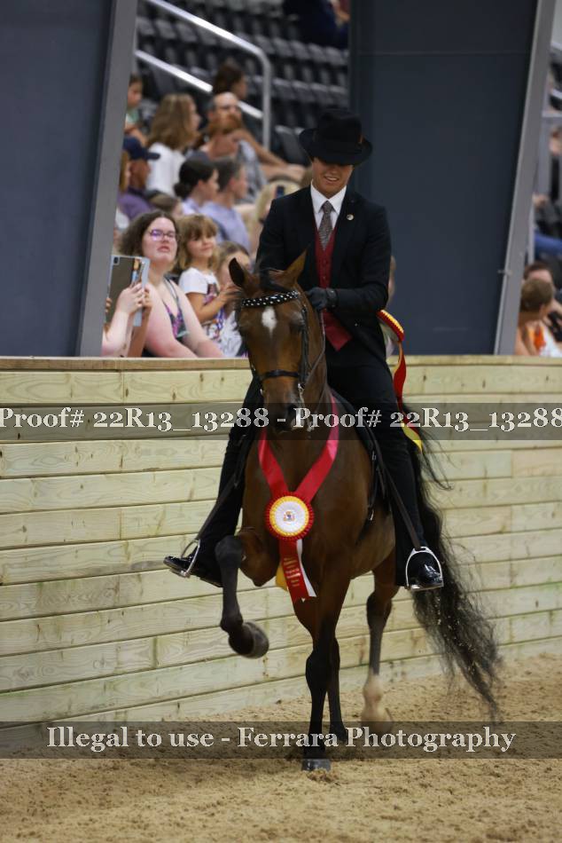 Proof 22R13_13288