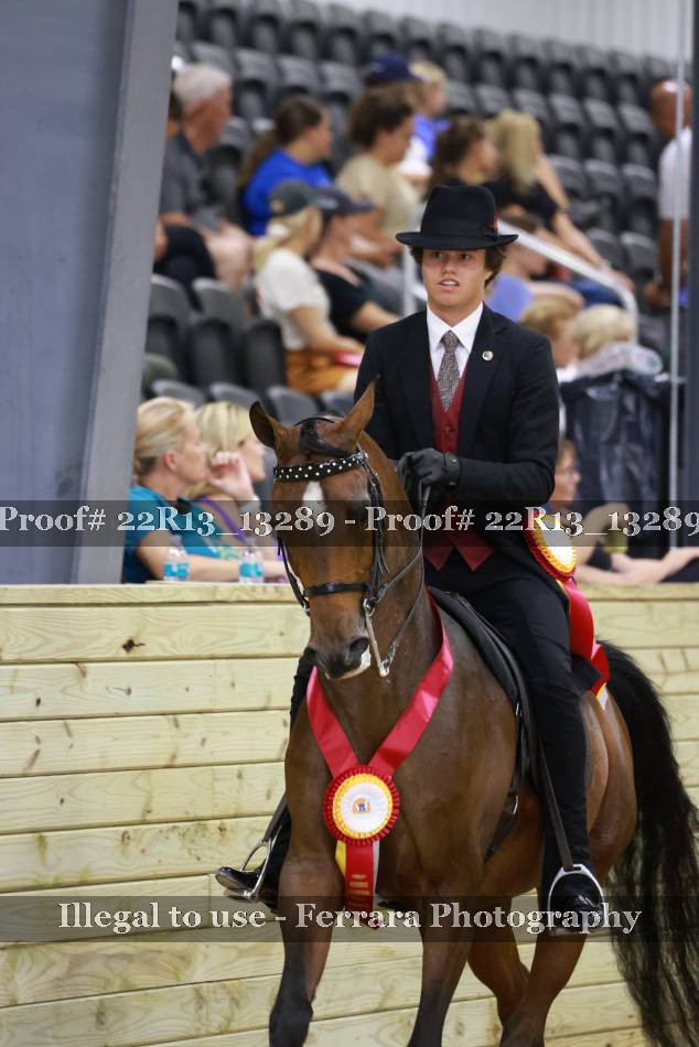 Proof 22R13_13289