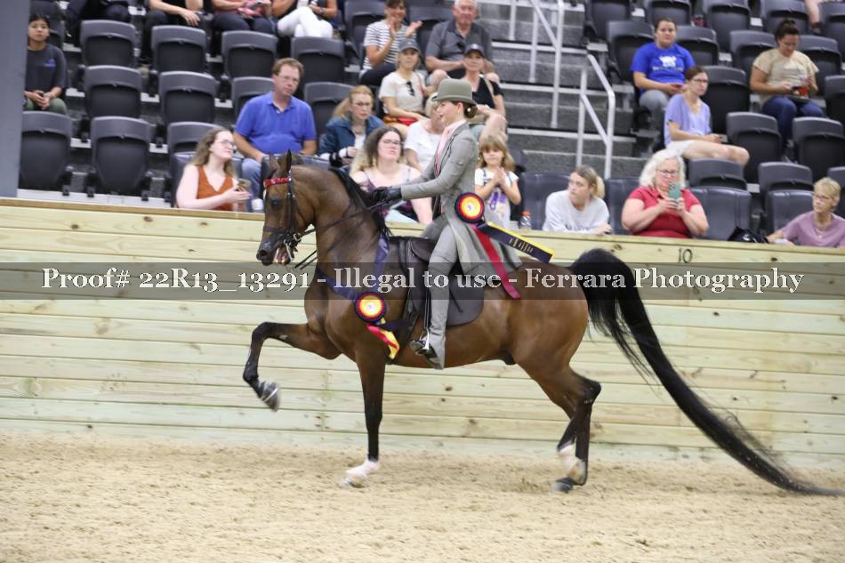 Proof 22R13_13291