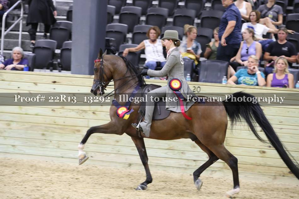 Proof 22R13_13292