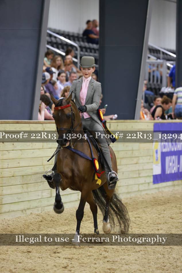Proof 22R13_13294