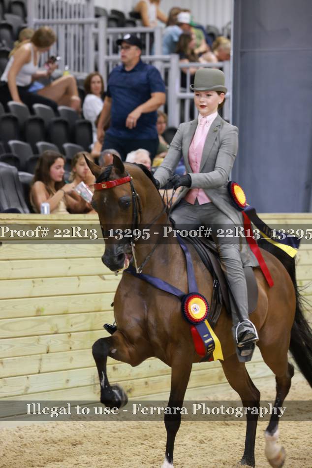 Proof 22R13_13295