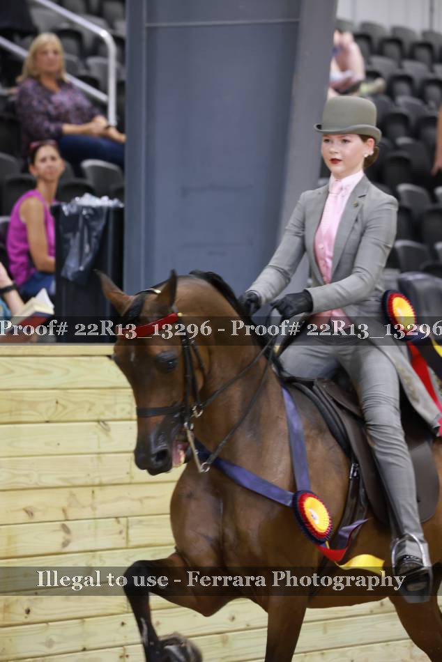 Proof 22R13_13296