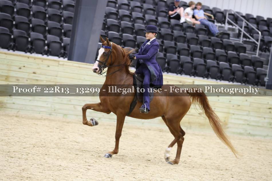 Proof 22R13_13299