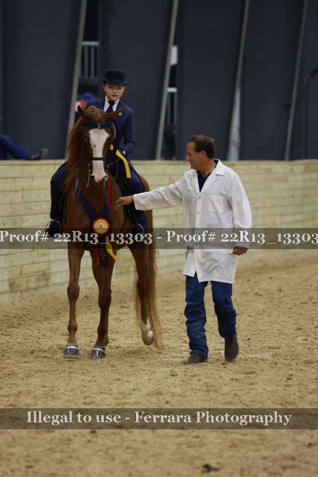 Proof 22R13_13303