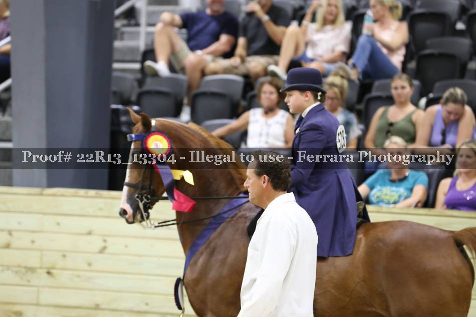 Proof 22R13_13304