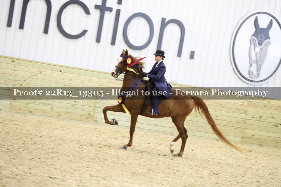 Proof 22R13_13305