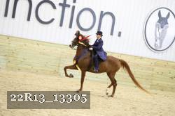 22R13_13305 proof