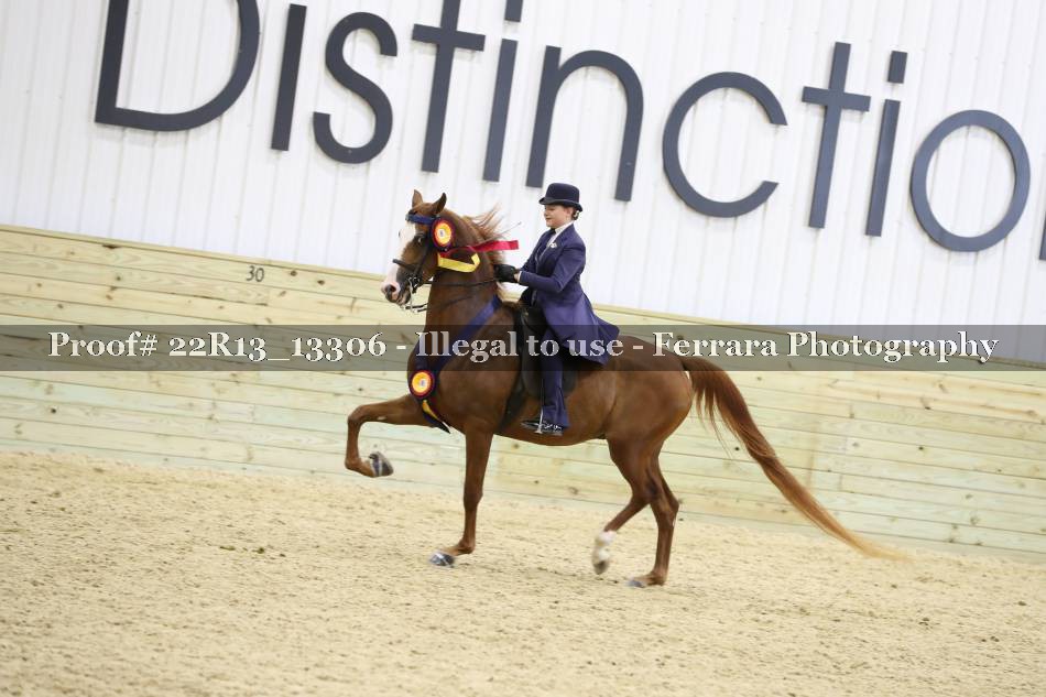 Proof 22R13_13306
