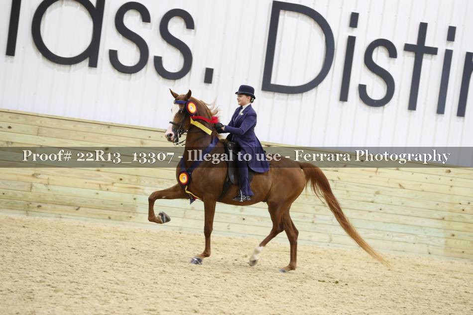 Proof 22R13_13307