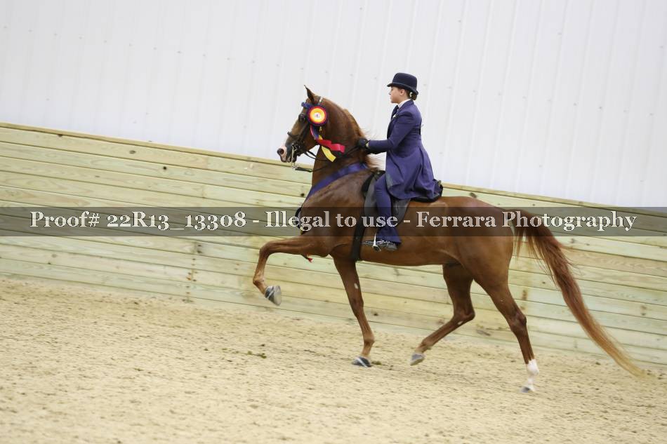 Proof 22R13_13308