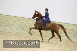 22R13_13308 proof