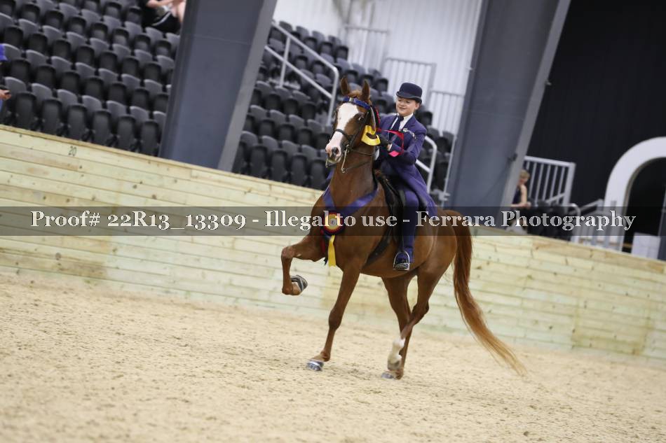 Proof 22R13_13309