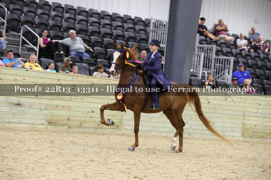 Proof 22R13_13311