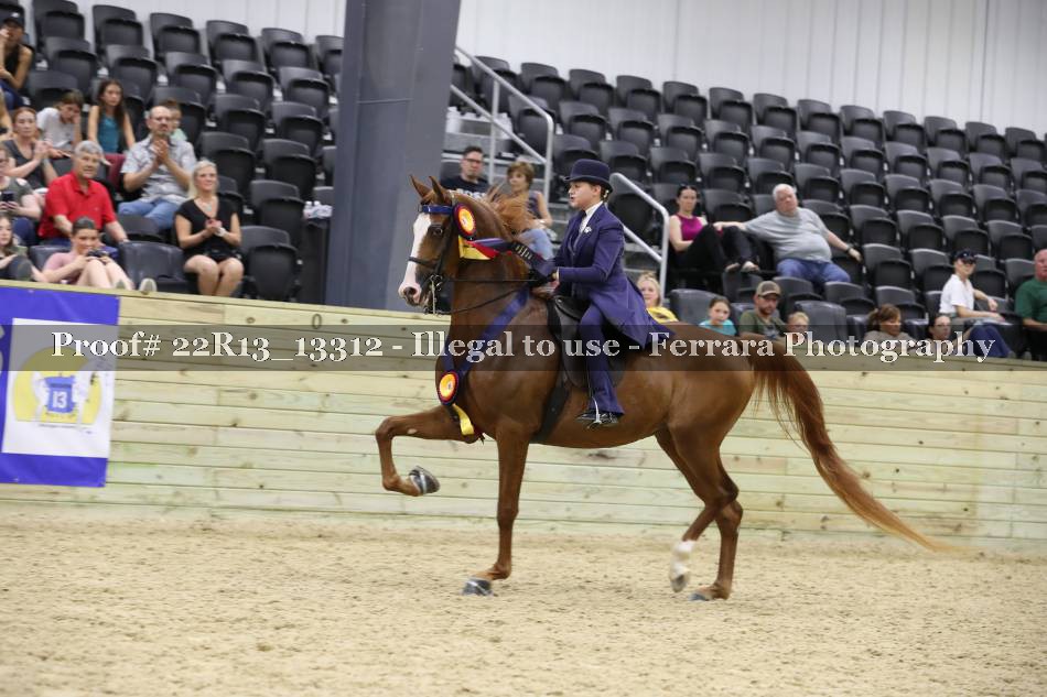 Proof 22R13_13312