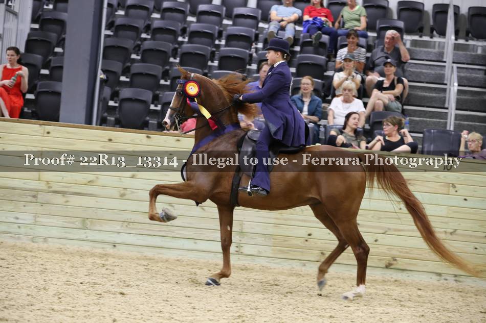 Proof 22R13_13314