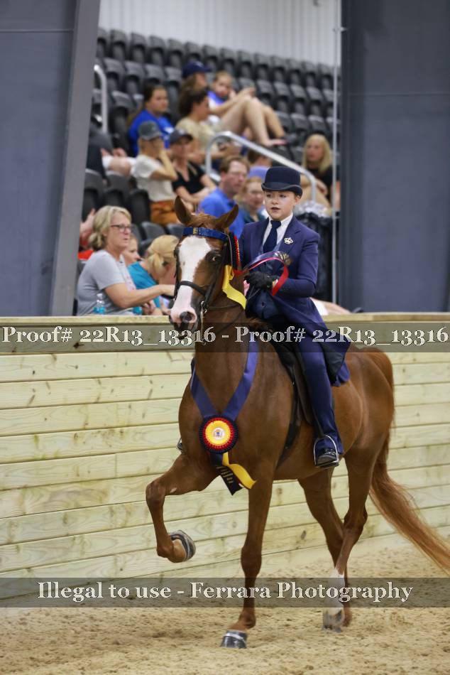 Proof 22R13_13316