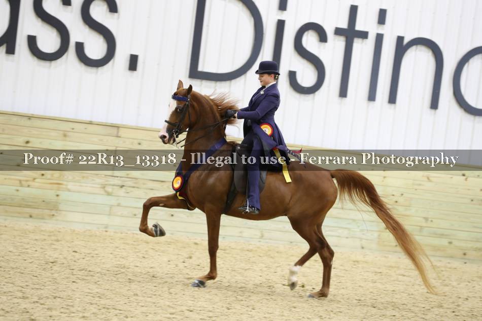 Proof 22R13_13318