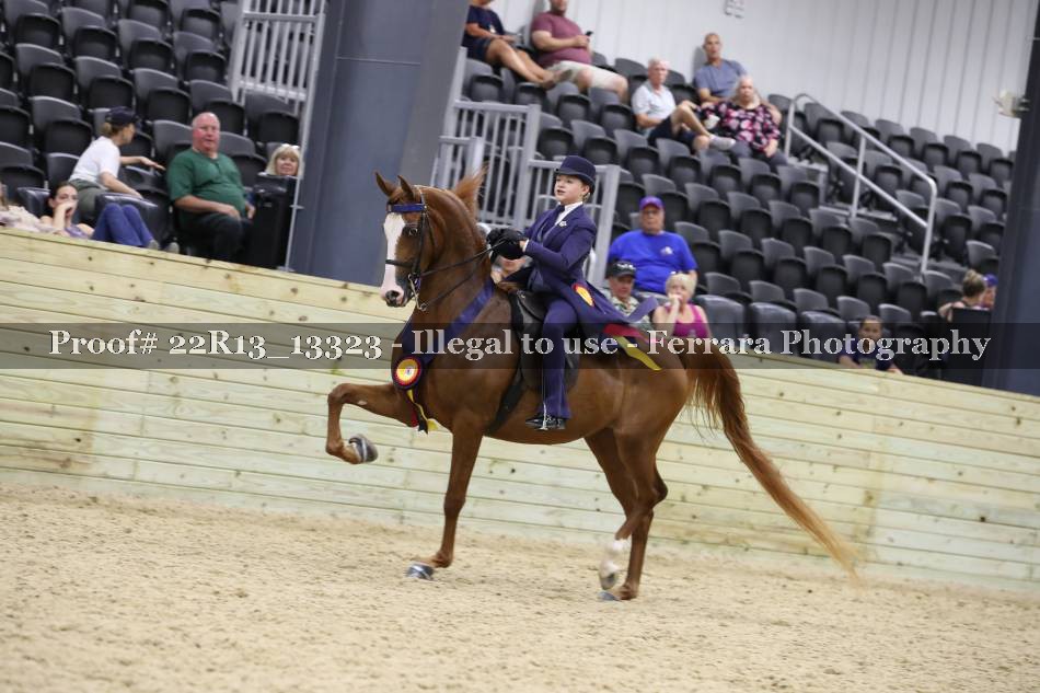 Proof 22R13_13323