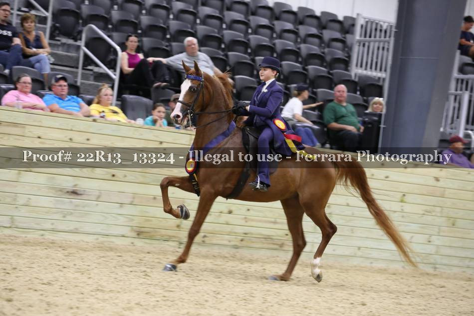Proof 22R13_13324