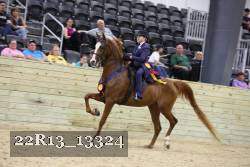 22R13_13324 proof